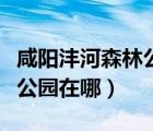 咸阳沣河森林公园在哪儿停车（咸阳沣河森林公园在哪）