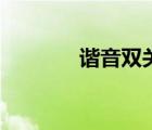 谐音双关的句子（谐音双关）