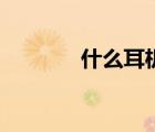 什么耳机好用（什么耳机好）