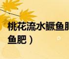 桃花流水鳜鱼肥的上一句是什么（桃花流水鳜鱼肥）