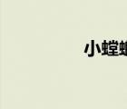 小螳螂吃什么（小螳螂）