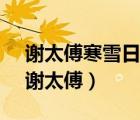 谢太傅寒雪日内集,与儿女讲论文义的意思（谢太傅）