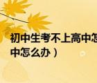 初中生考不上高中怎么办怎样才能上大学（初中生考不上高中怎么办）