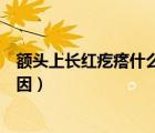 额头上长红疙瘩什么原因一摸就疼（额头上长红疙瘩什么原因）