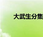 大武生分集剧情（大武生剧情简介）