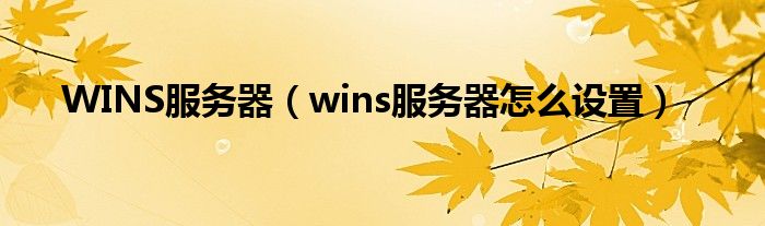 WINS服务器（wins服务器怎么设置）