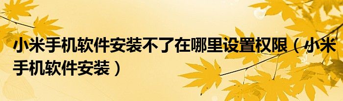 小米手机软件安装不了在哪里设置权限（小米手机软件安装）
