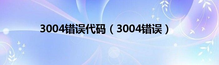 3004错误代码（3004错误）
