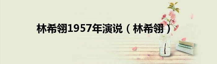 林希翎1957年演说（林希翎）