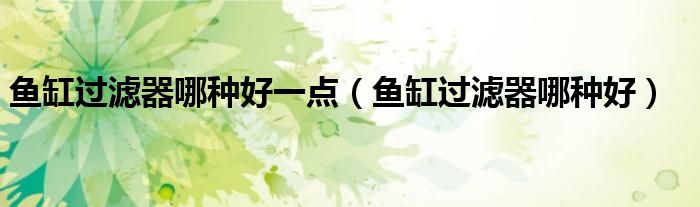 鱼缸过滤器哪种好一点（鱼缸过滤器哪种好）