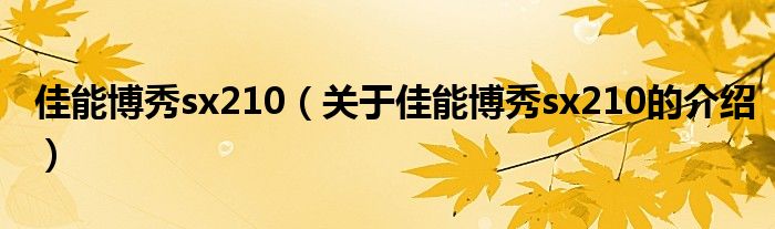 佳能博秀sx210（关于佳能博秀sx210的介绍）