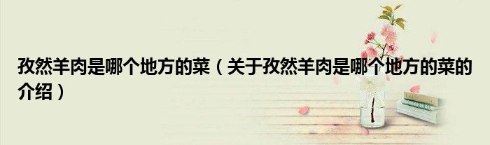 孜然羊肉是哪个地方的菜（关于孜然羊肉是哪个地方的菜的介绍）