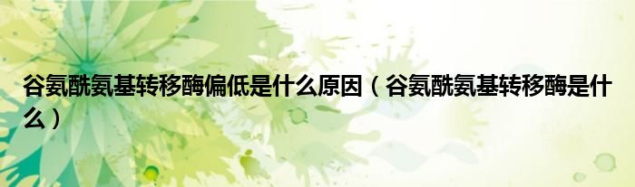 谷氨酰氨基转移酶偏低是什么原因（谷氨酰氨基转移酶是什么）