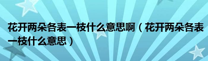 花开两朵各表一枝什么意思啊（花开两朵各表一枝什么意思）
