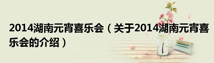 2014湖南元宵喜乐会（关于2014湖南元宵喜乐会的介绍）