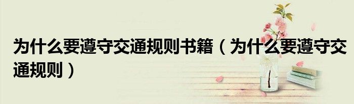 为什么要遵守交通规则书籍（为什么要遵守交通规则）
