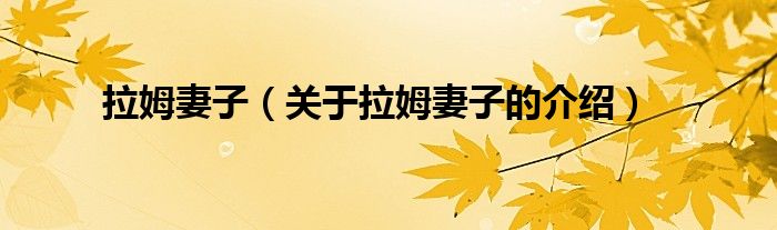 拉姆妻子（关于拉姆妻子的介绍）
