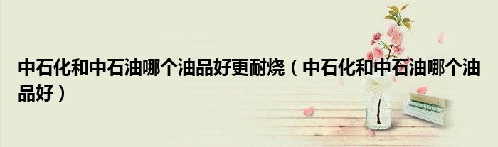 中石化和中石油哪个油品好更耐烧（中石化和中石油哪个油品好）