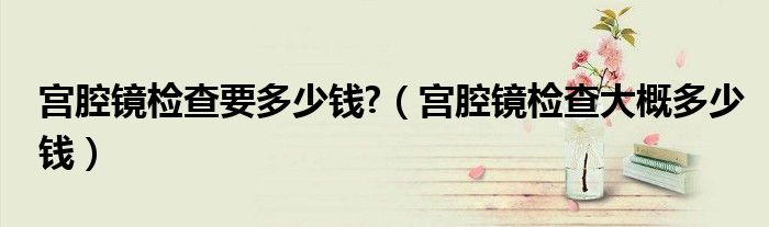 宫腔镜检查要多少钱?（宫腔镜检查大概多少钱）