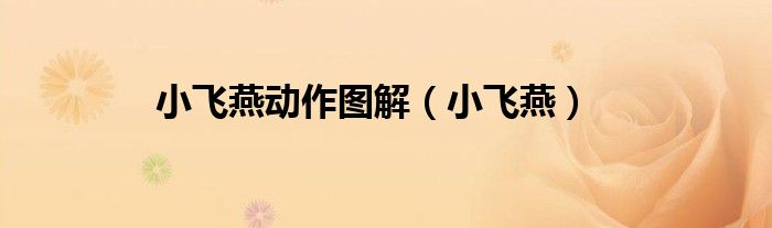 小飞燕动作图解（小飞燕）