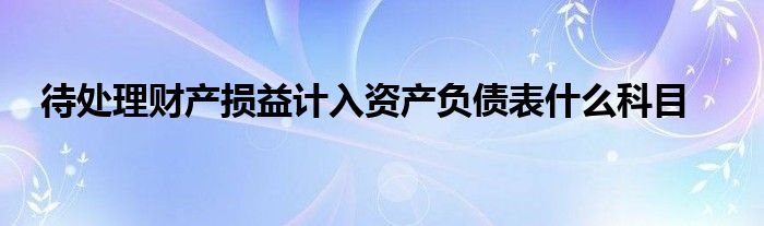 待处理财产损益计入资产负债表什么科目