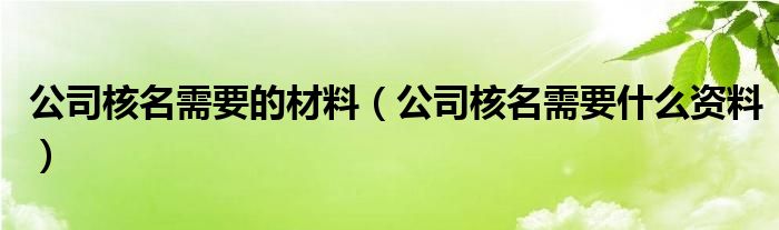 公司核名需要的材料（公司核名需要什么资料）