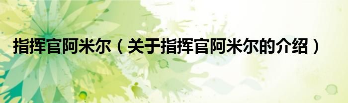 指挥官阿米尔（关于指挥官阿米尔的介绍）