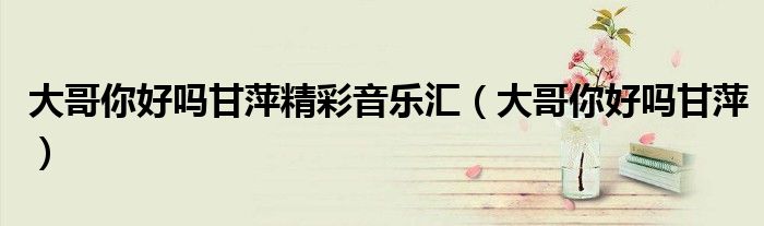 大哥你好吗甘萍精彩音乐汇（大哥你好吗甘萍）
