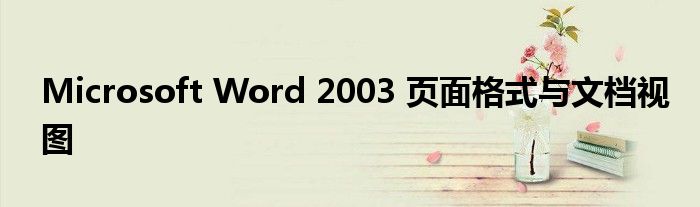 Microsoft Word 2003 页面格式与文档视图