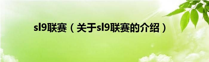 sl9联赛（关于sl9联赛的介绍）
