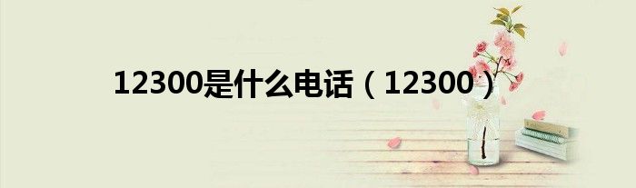 12300是什么电话（12300）