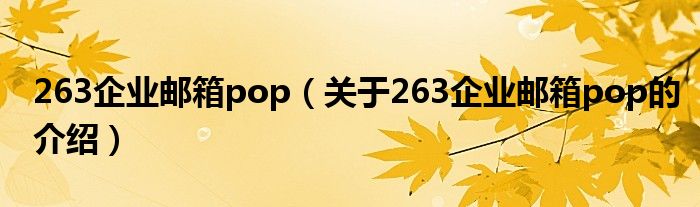 263企业邮箱pop（关于263企业邮箱pop的介绍）