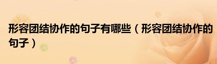 形容团结协作的句子有哪些（形容团结协作的句子）