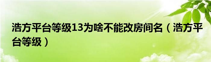 浩方平台等级13为啥不能改房间名（浩方平台等级）