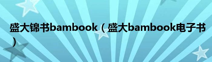 盛大锦书bambook（盛大bambook电子书）