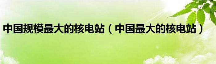 中国规模最大的核电站（中国最大的核电站）