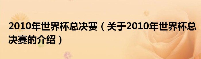 2010年世界杯总决赛（关于2010年世界杯总决赛的介绍）