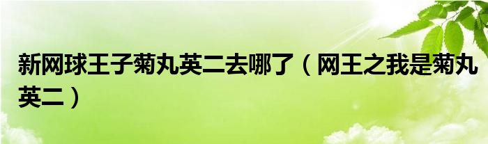 新网球王子菊丸英二去哪了（网王之我是菊丸英二）