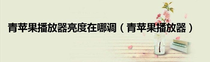 青苹果播放器亮度在哪调（青苹果播放器）