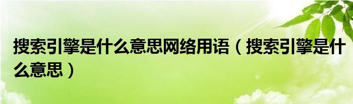 搜索引擎是什么意思网络用语（搜索引擎是什么意思）