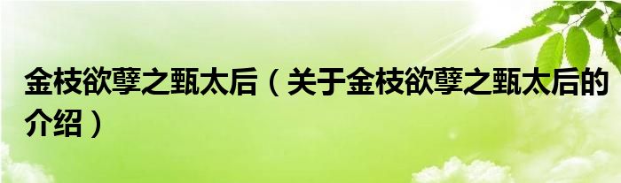 金枝欲孽之甄太后（关于金枝欲孽之甄太后的介绍）