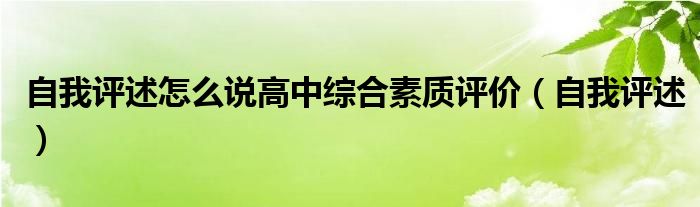 自我评述怎么说高中综合素质评价（自我评述）