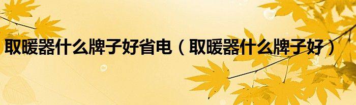 取暖器什么牌子好省电（取暖器什么牌子好）