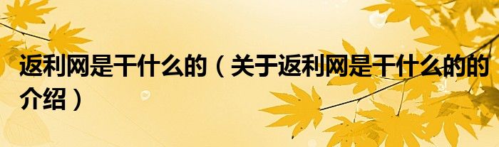 返利网是干什么的（关于返利网是干什么的的介绍）
