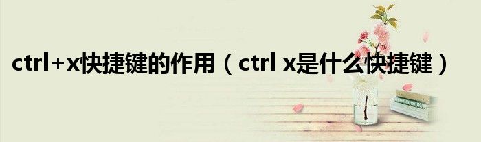 ctrl+x快捷键的作用（ctrl x是什么快捷键）