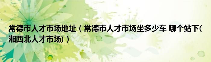 常德市人才市场地址（常德市人才市场坐多少车 哪个站下(湘西北人才市场)）