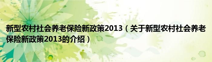 新型农村社会养老保险新政策2013（关于新型农村社会养老保险新政策2013的介绍）