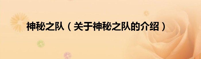 神秘之队（关于神秘之队的介绍）