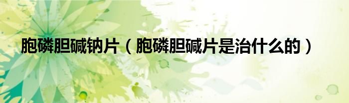 胞磷胆碱钠片（胞磷胆碱片是治什么的）