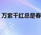 万紫千红总是春诗意（万紫千红总是春全诗）